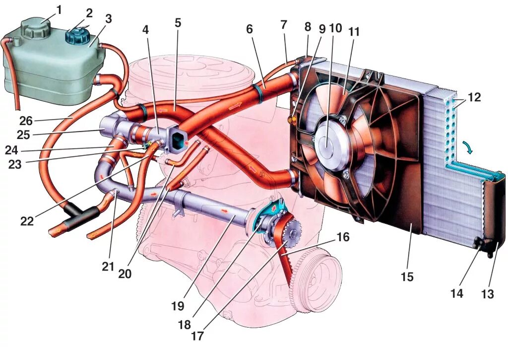 Система охлаждения двигателя ВАЗ 2110. ВАЗ 2110 система охлаждения двигателя 8. Система охлаждения ВАЗ ВАЗ 2110. Система охла