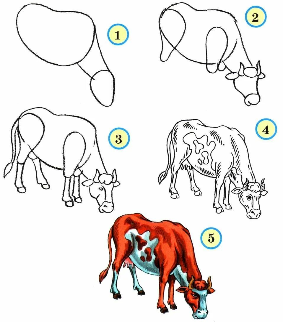 Картинки схемы. Рисование животных. Схемы рисования животных. Рисунки поэтапно животные. Поэтапное рисование животных для детей.