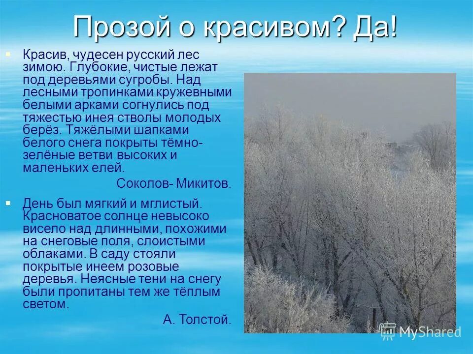 Паустовский для всего что существует в природе. Красивые описания природы. Красивое описание зимы. Описание русской зимы. Описание природы зима.