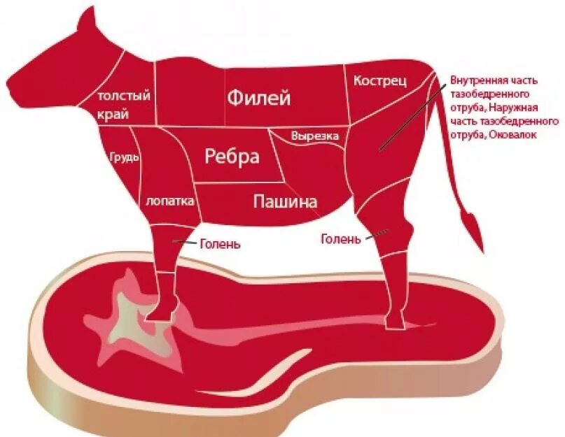 Вырезка части говядины. Говядина кострец и огузок. Огузок говядина. Говядина вырезка. Части мяса говядины вырезка.