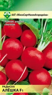 Сорт томатов алешка
