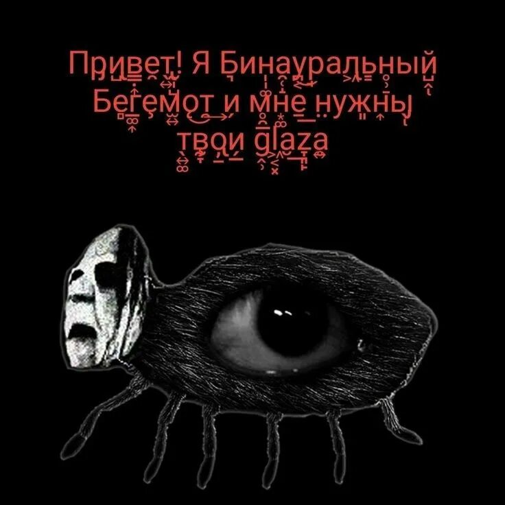 Глаза ползает. Глаза ползает