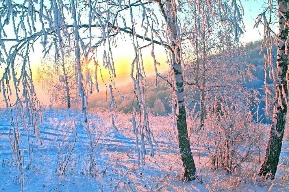 Февральский пейзаж. Морозное утро. Зимний рассвет живопись. Ранняя зима. Утро природа февраль
