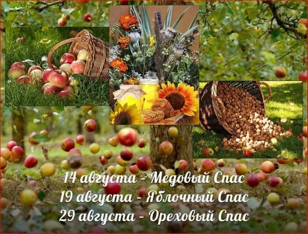 1 августа время
