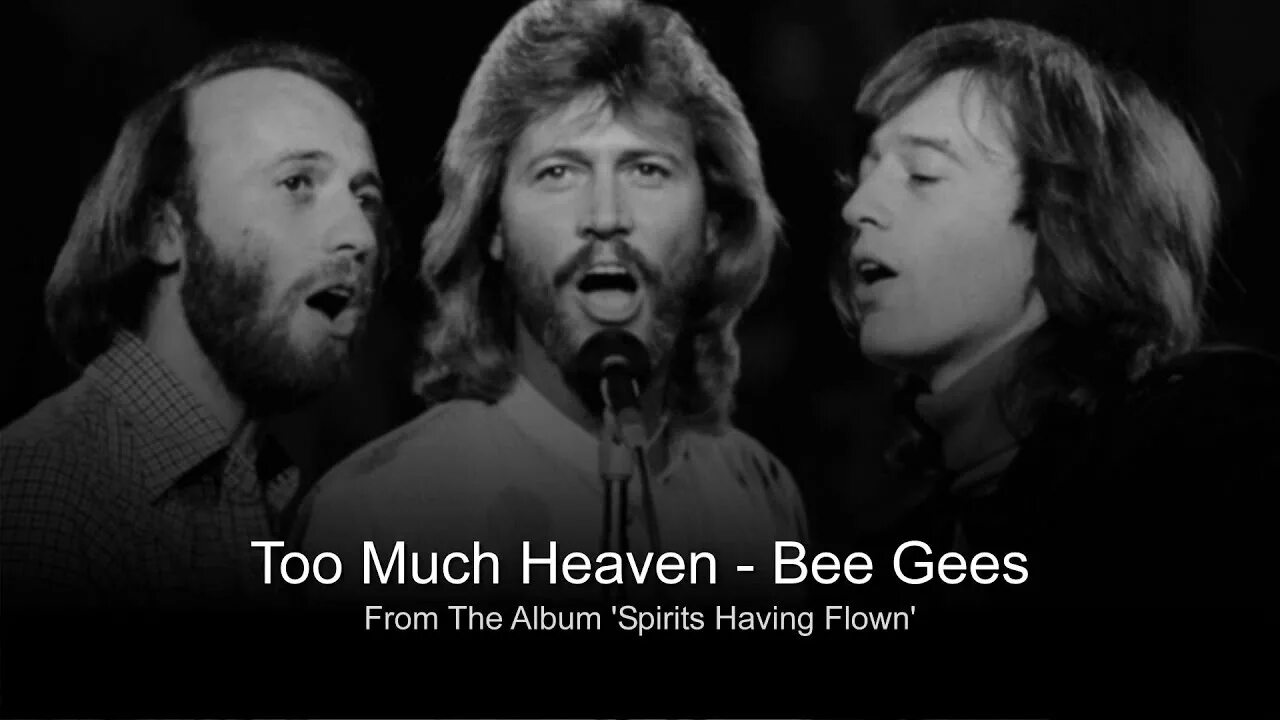 Too much of heaven eiffel. Bee gees too much heaven. too much of heaven. bee gees too much heaven single. bee gees too much heaven перевод.