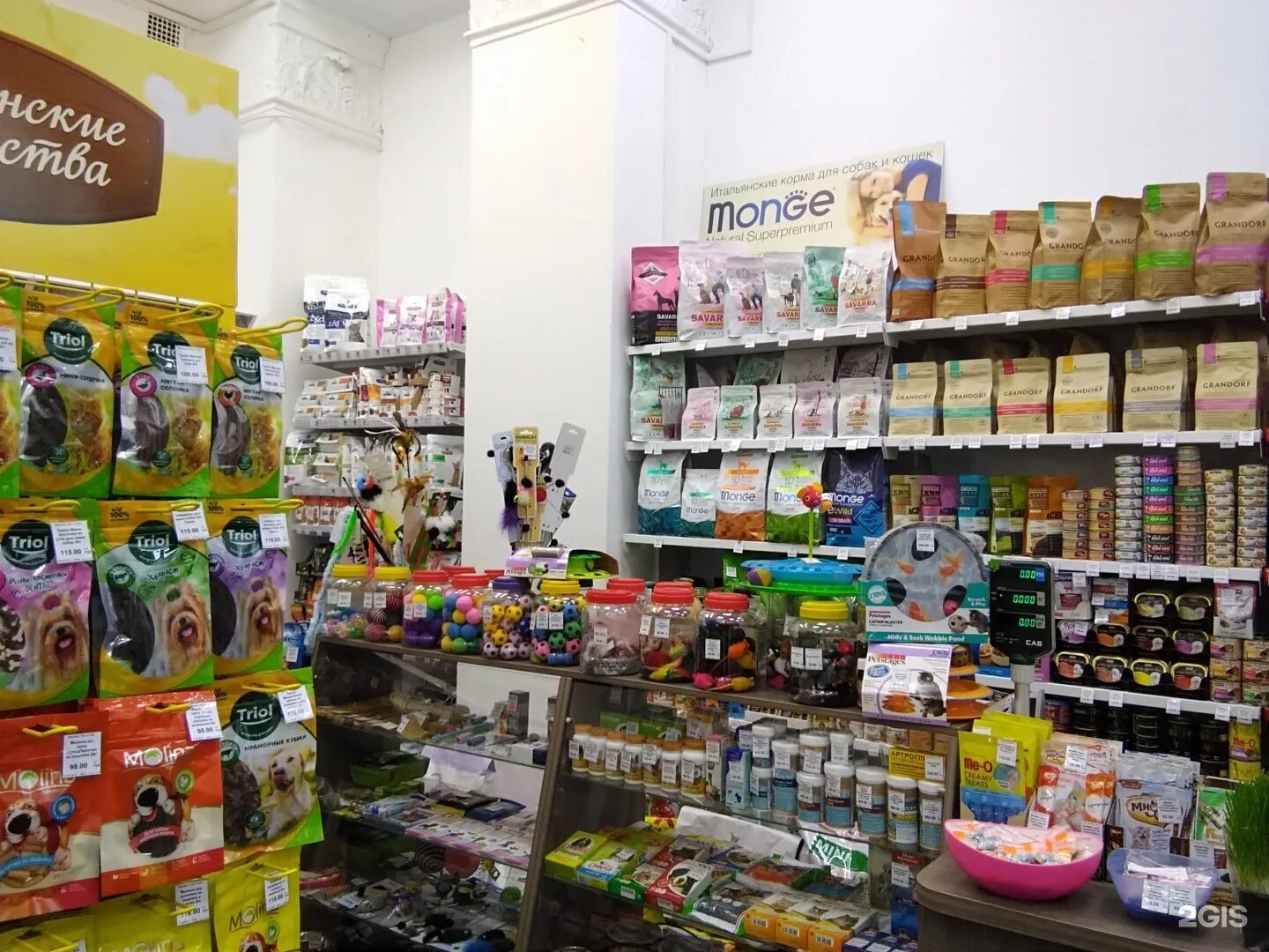 улица шевченко иваново. эмблема зоомагазина. горького 34/2 чебоксары кот и пес. логотип магазина для животных. кот и пес магазин.