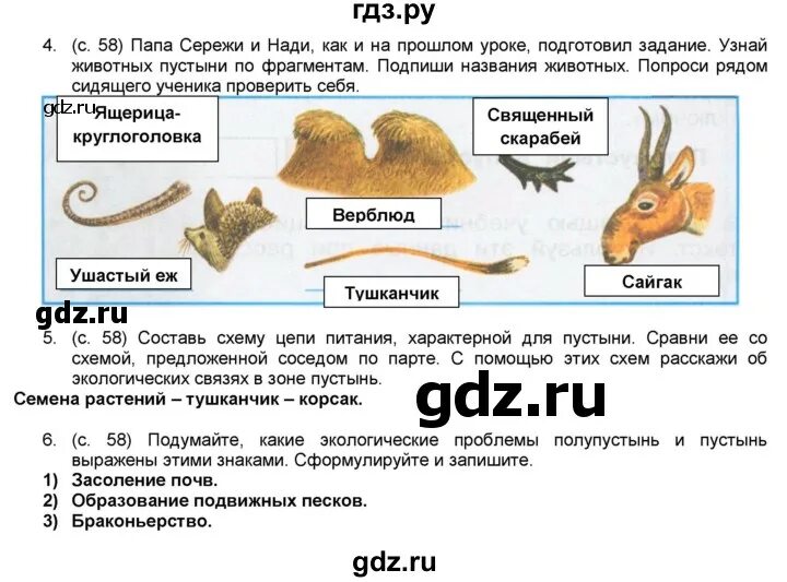 Тест пустыни 4 класс ответы. Таблица пустыня 4 класс окружающий мир. Вопросы про пустыню с ответами 4 класс. Конспект пустыни 4 класс окружающий мир Плешаков.