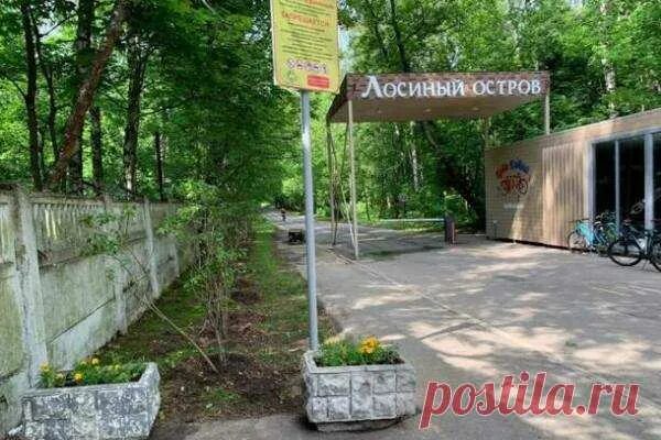 Лосиный остров березы. Лосиный остров национальный парк. Лосиноостровский парк москва. Лосиный остров национальный парк. Лосиный остров гольяново парк.