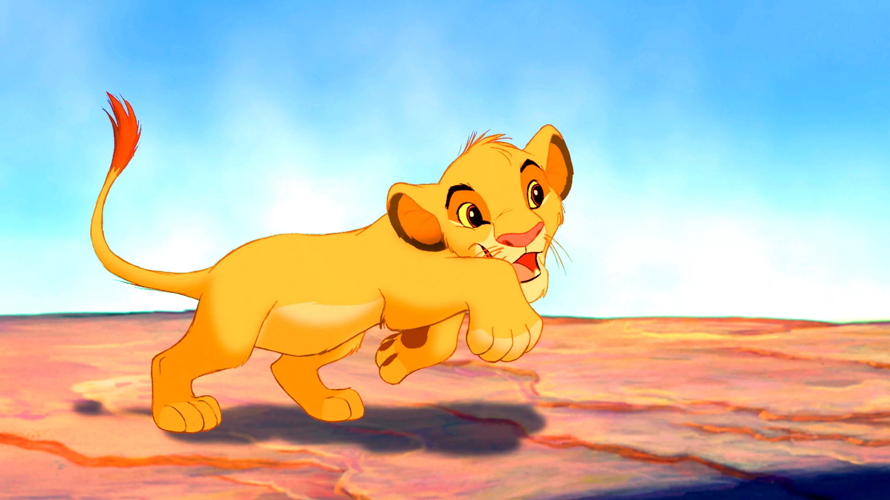 львенок симба видео
