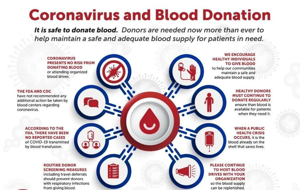 Донорство крови антибиотики. Blood donation. Диаграмма донорства крови. Месячные и донорство крови.