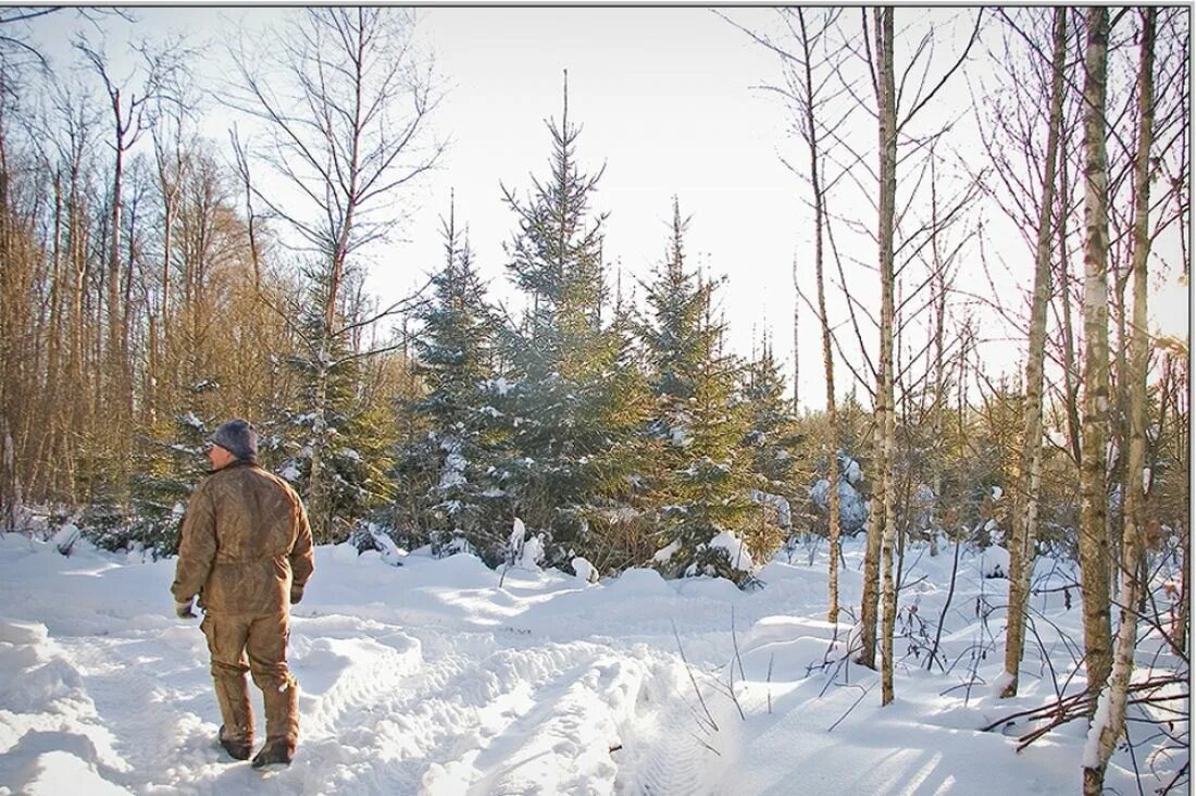 Не сбивай грибы в лесу. Не разу не был в лесу. Смешные таблички в лесу. Не разу не был в лесу. Правила поведения в лесу.