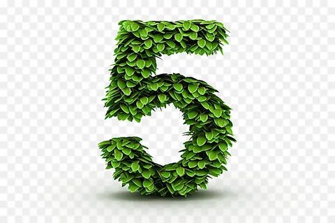 Цифра 3 слово зелени