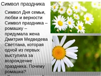 Какой цветок является символом дня семьи любви