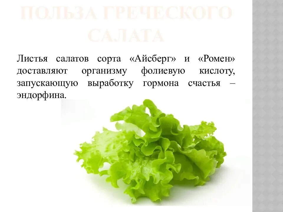 На сколько полезен салат. Чем полезны листья салата. Салатный лист полезные. Чем полезен салат листовой для организма. Чем полезен салат листовой.