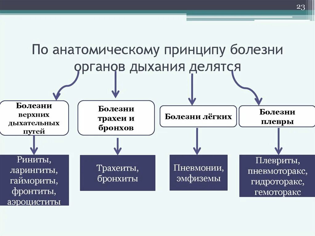 Классификация болезней органов дыхания. Общая классификация болезней органов дыхания патанатомия. Таблица основные синдромы заболеваний дыхательной системы. Заболевания дыхательных путей классификация. Основные группы болезней