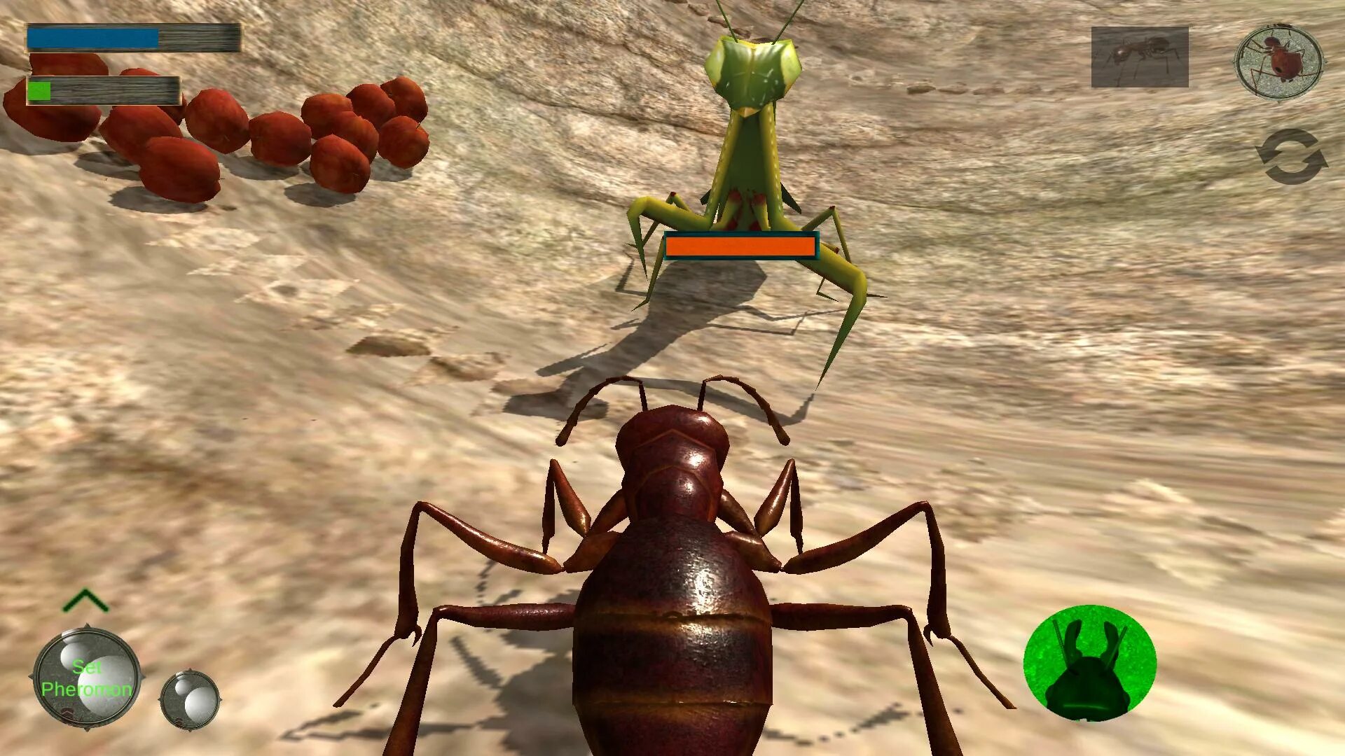 Ant ant tycoon. The Ants игра. Жизнь муравьев игра. Игра про муравьев Ants. Симулятор муравья (Муравейник).
