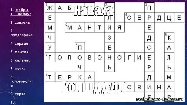 Кроссворд членистоногие 7 класс с ответами. Кроссворд по теме моллюски 7 класс с ответами.