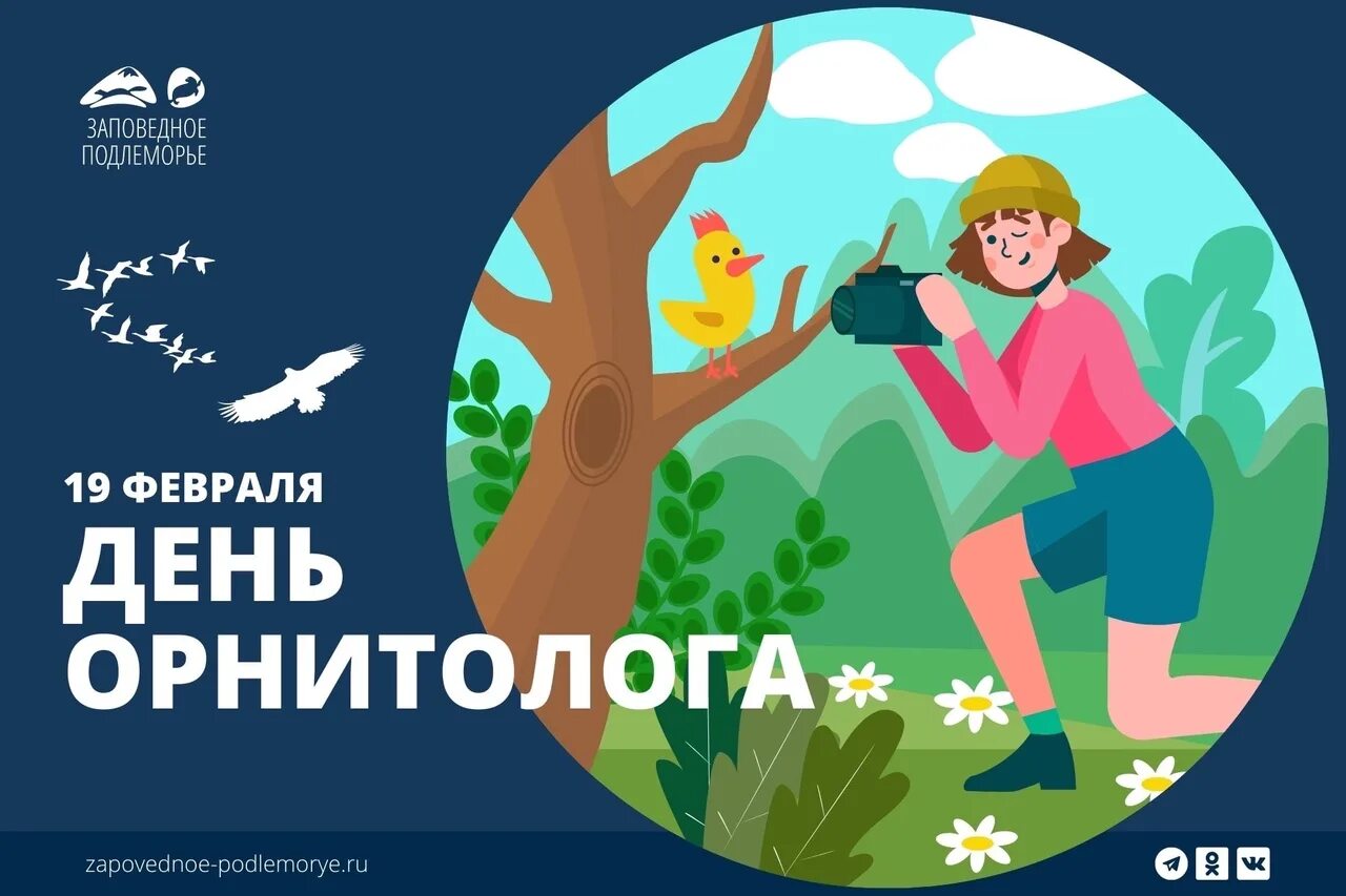 Врач орнитолог в Москве - вызов орнитолога на дом