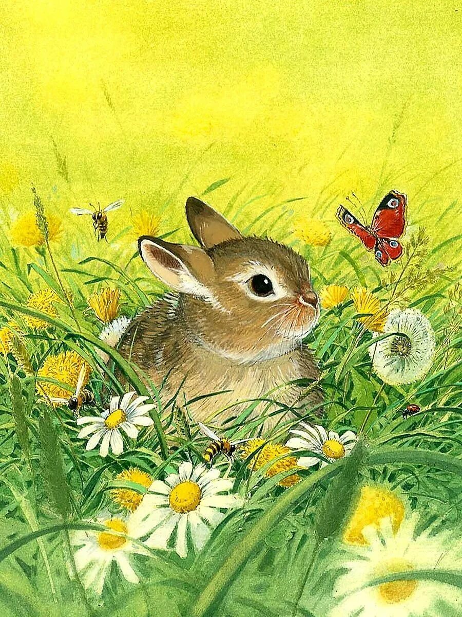 Иллюстратор Bernhard Oberdieck. Заяц на лугу. Кролик в траве. Заяц картина.
