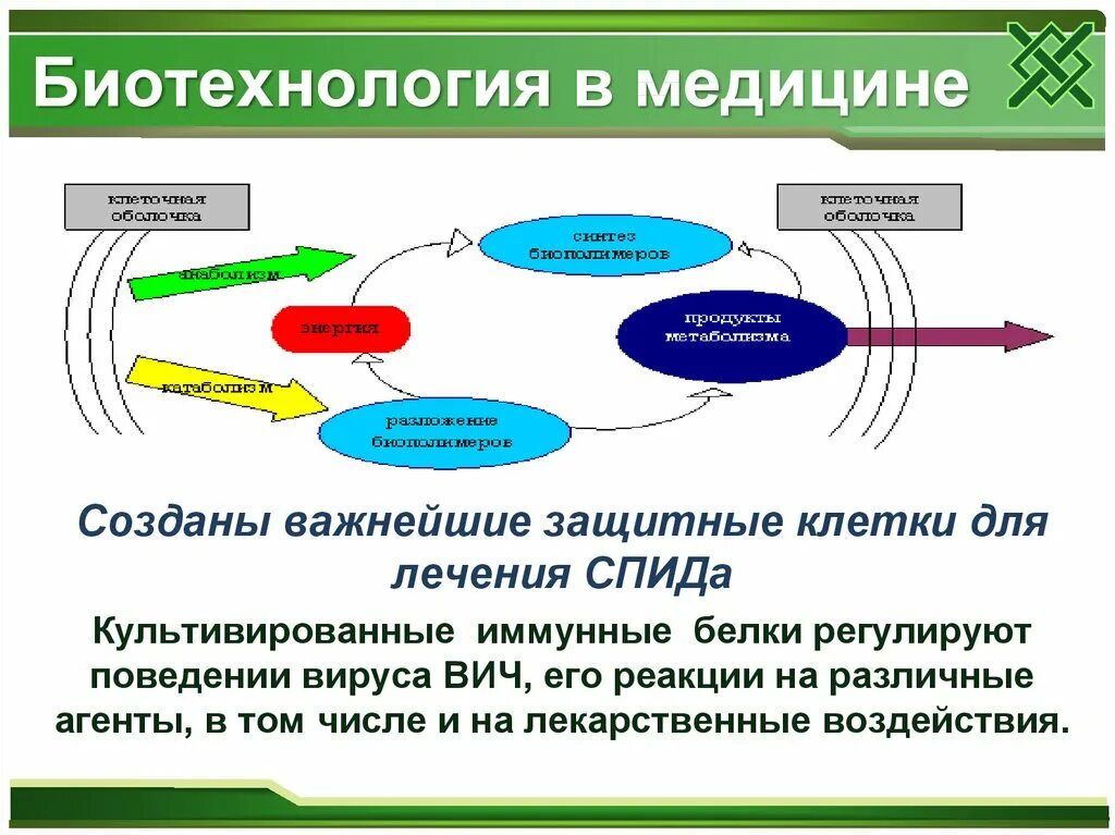 Сферы биотехнологии. Биотехнология в медицине. Биотехнологические методы в медицине. Биотехнологии в медицине презентация. Применение биотехнологий в медицине.