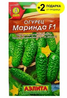 Описание огурцов маринда
