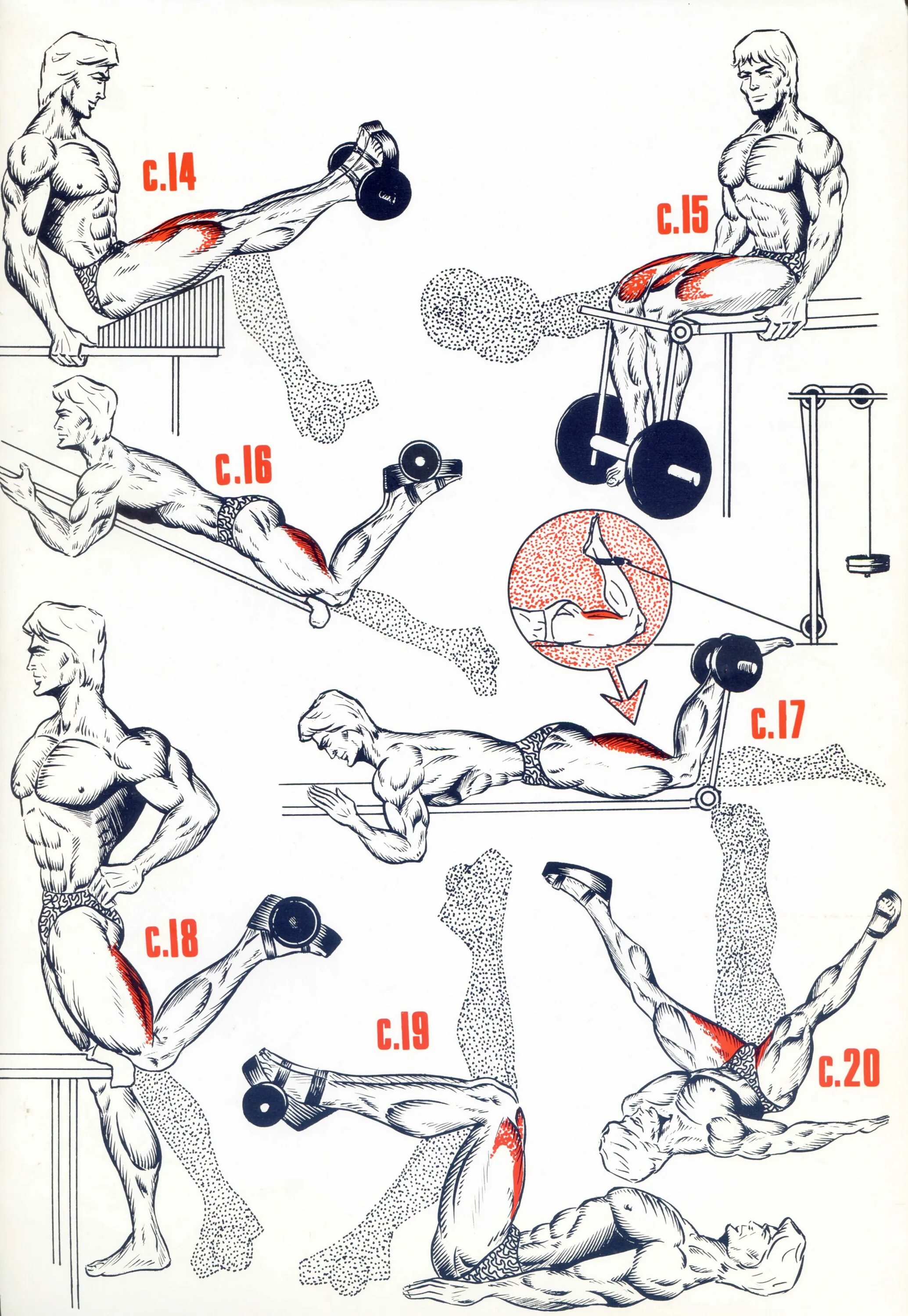 Тренировка на ноги для мужчин. Упражнения для накачивания мышц ног. Лучшие упражнения для прокачки мышц бедра. Упражнения для качания мышц ног. Упражнения для прокачки мышц ног.