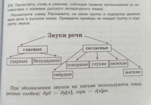 Прочитайте слова первой группы. На какие группы и подгруппы делятся звуки. Звуки русского языка делятся. На какие группы делятся звуки речи. На какие группы делятся звуки русского языка.