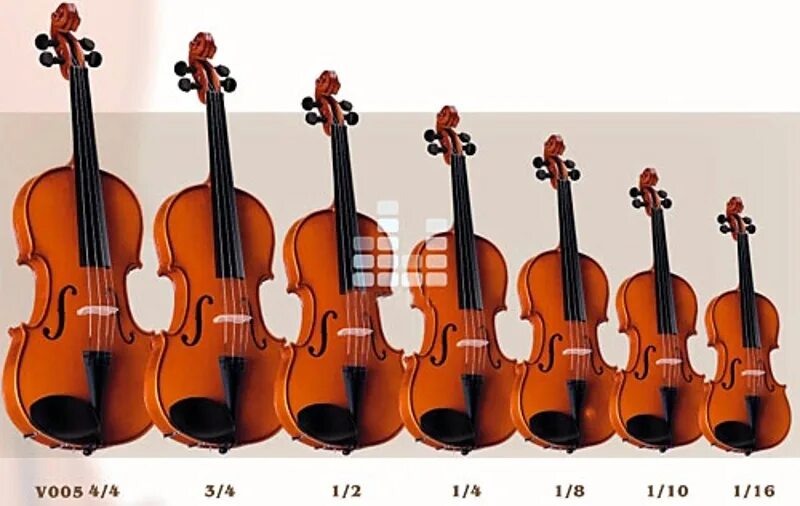 Размер Альта и скрипки. Скрипка Альт виолончель контрабас Размеры. Скрипки разных размеров. Альт и скрипка. Магазин музыкальных инструментов скрипки