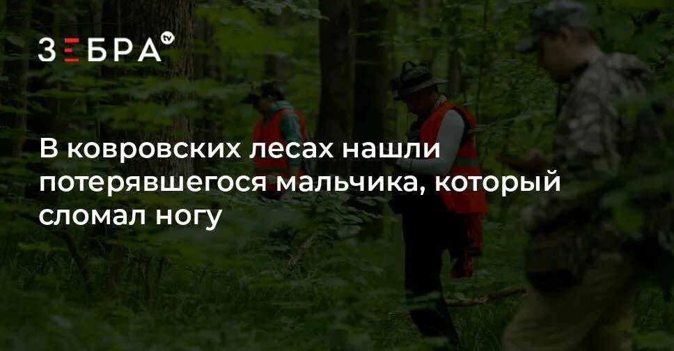 В лесу дети сломали ногу. Мальчик который потерялся в лесу с дракон Элеот.