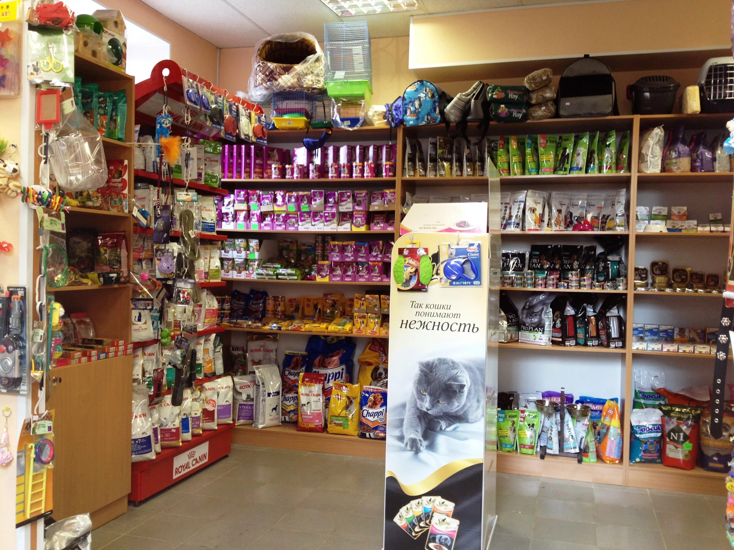 Товары зоомир. Витрины для зоотоваров. Товары зоомир. Магазин товаров для животных. Витрина зоомагазина.