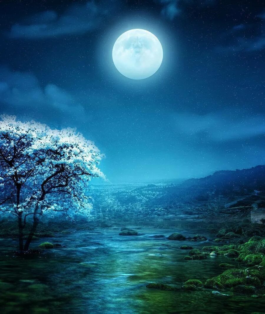 Бесплатные картинки ночи. Красивая ночь. Пейзаж ночь. Лунная ночь. Лунный свет пейзаж.