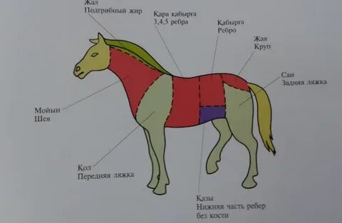 Ерлер әйелдер трусиктерінде мастурбация жасайды
