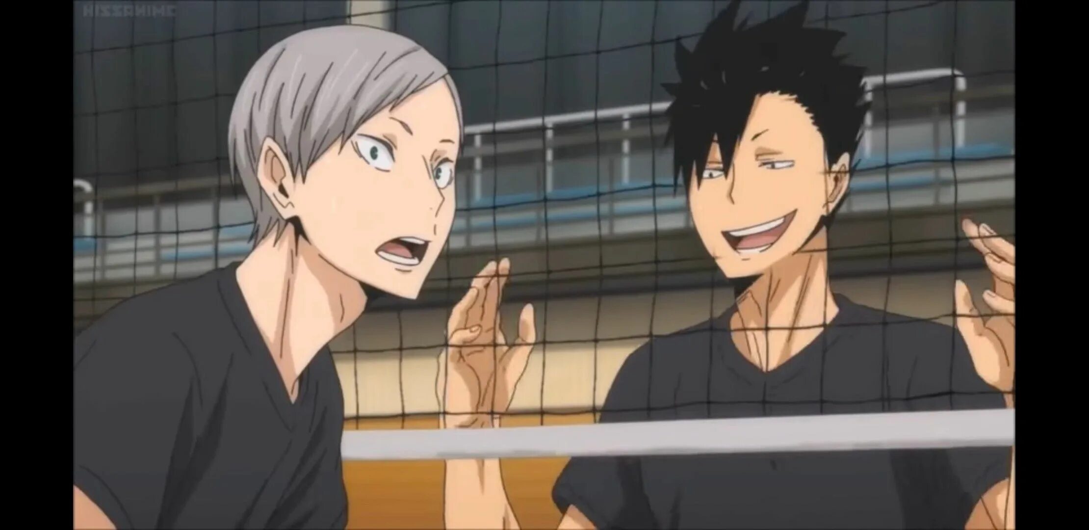 Львы про волейбол. Лев хайба. лев хайба волейбол. лев из волейбола.