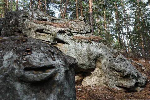 Скрипинские кучуры ульяновская