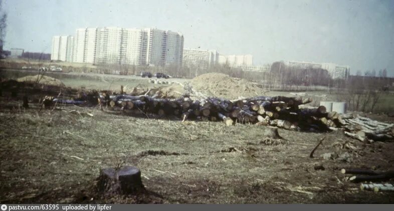 Погода в восточном советского. Бирюлево Восточное 1990. Бирюлево Восточное 1980. Микрорайон Бирюлево Восточное. Бирюлево Восточное 1993.