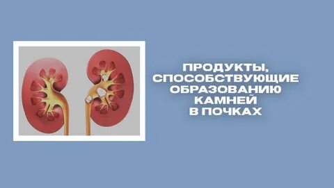 Продукты, способствующие образованию камней в почках ? - смотреть видео онлайн о