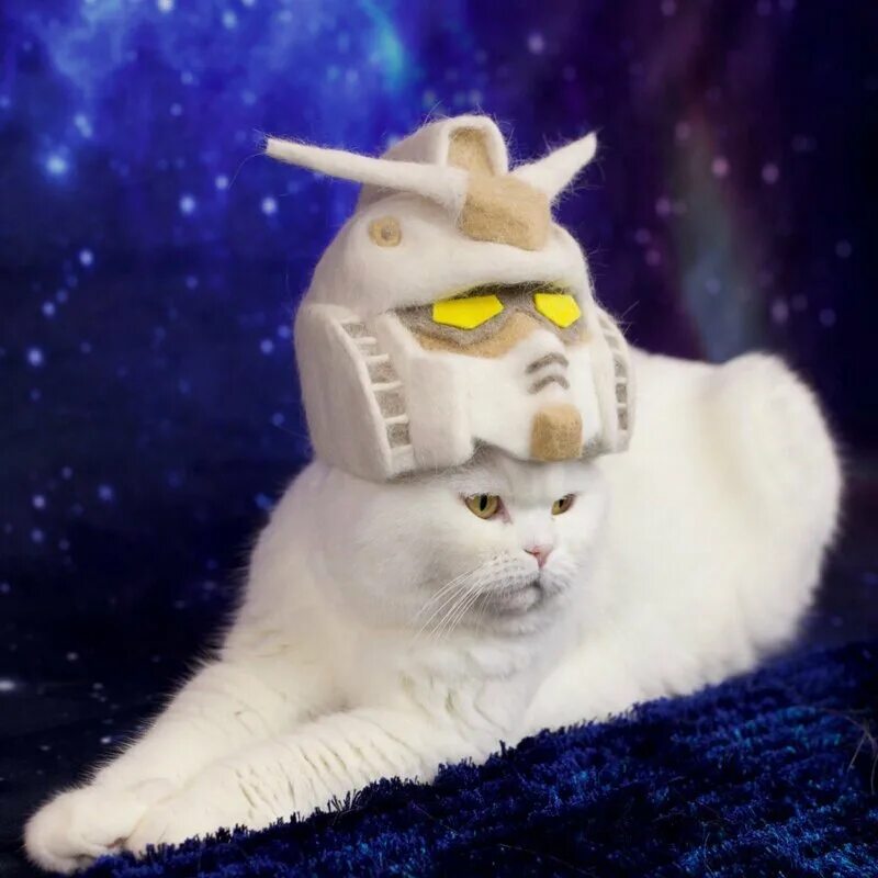 Котобот