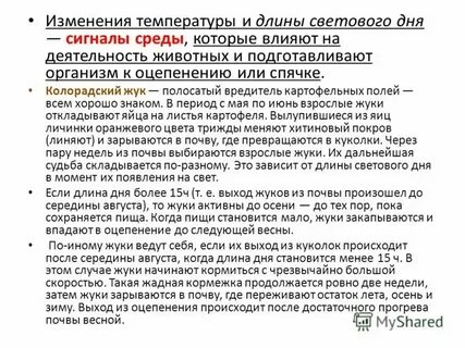 Сокращение длины светового дня