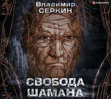 Князь шаман 4 аудиокнига