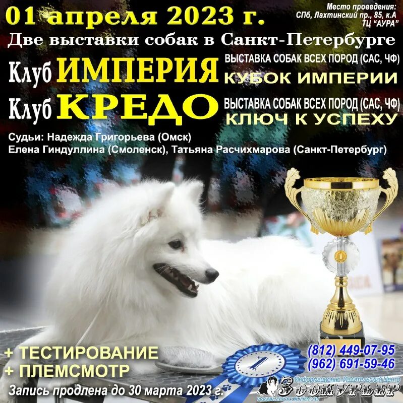 Зоокурьер выставки собак в санкт-петербурге 2021. Моно сао 2014 фото е1. Зоокурьер выставки собак 2024 в санкт петербурге. Зоокурьер выставки собак 2024 в санкт петербурге. Картинки.