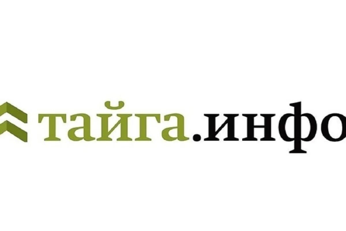 Сайт тайга новосибирск. Тайга инфо. Тайга инфо логотип. Тайга инфо Кемерово. Таежные логотипы.