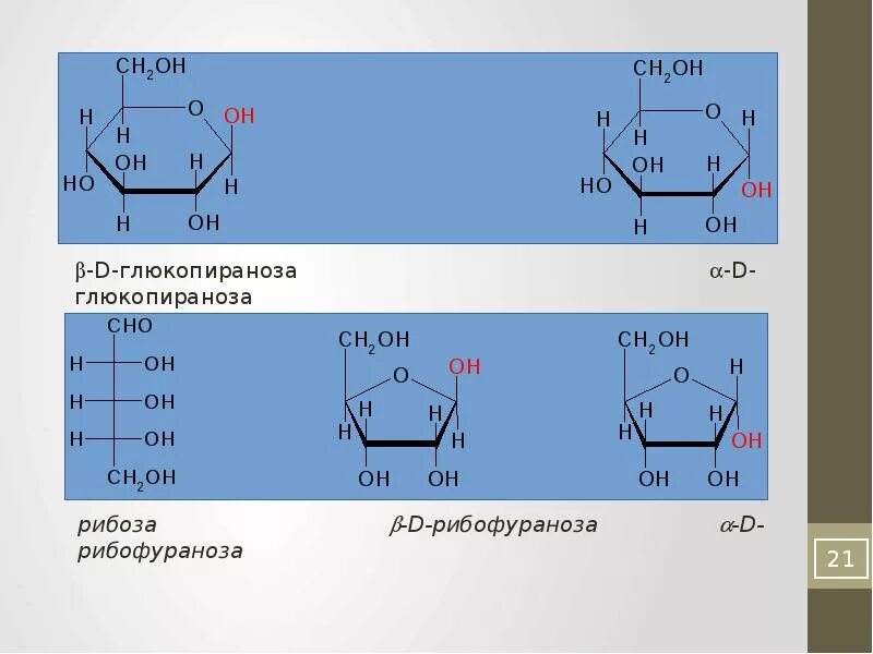 Рибофураноза и рибоза. Б Д рибофураноза. Бета-d-рибофуранозы. Рибоза реакции. Гидролизу подвергается глюкоза рибоза целлюлоза