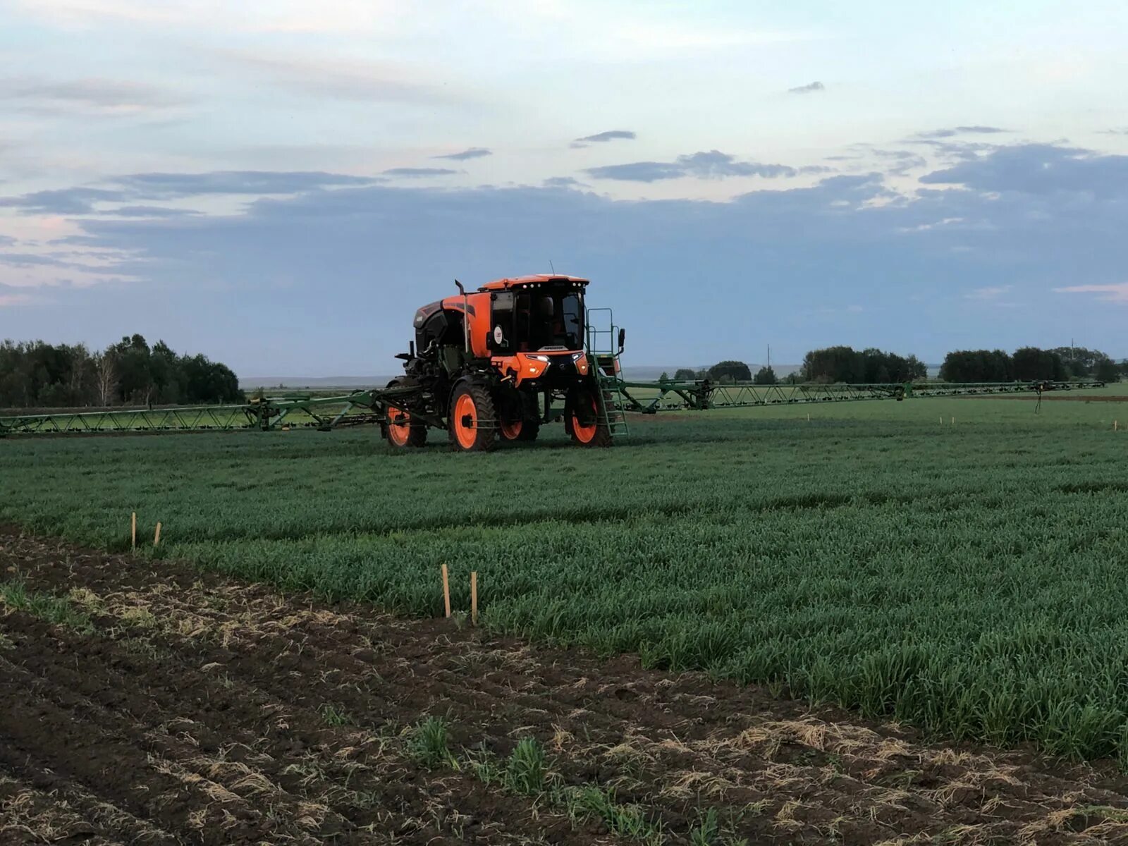 Столица казахстана 2023. Казахстан август 2023. Казахстан август 2023. 30 августа день конституции республики казахстан. С днем столицы.