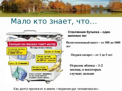 Куда берется