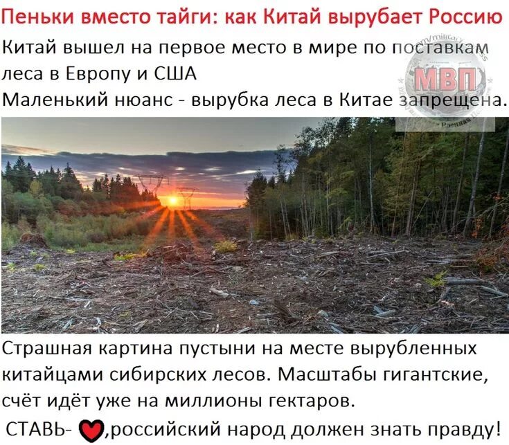 Вырубка лесов. Слово со значением место где вырублен лес. Слово со значением место где вырублен лес. Вырубленный лес пеньки. Вырубка леса.