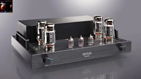 Audio voice