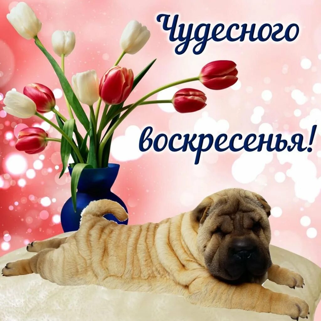 Классного воскресенья и отличного. Открытки с добрым утром воскресенья. открытки хорошего воскресенья. поздравление с воскресеньем. открытки с добрым воскресным утром.