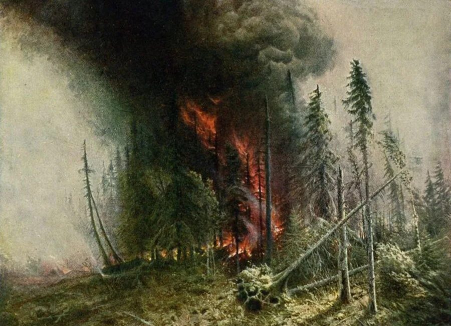 Картина пожар в лесу. Картина пожар в лесу. Пожар леса. Лес в огне. Картина пожар в лесу.