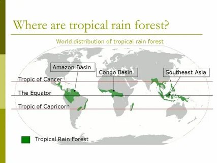 Were are the forests