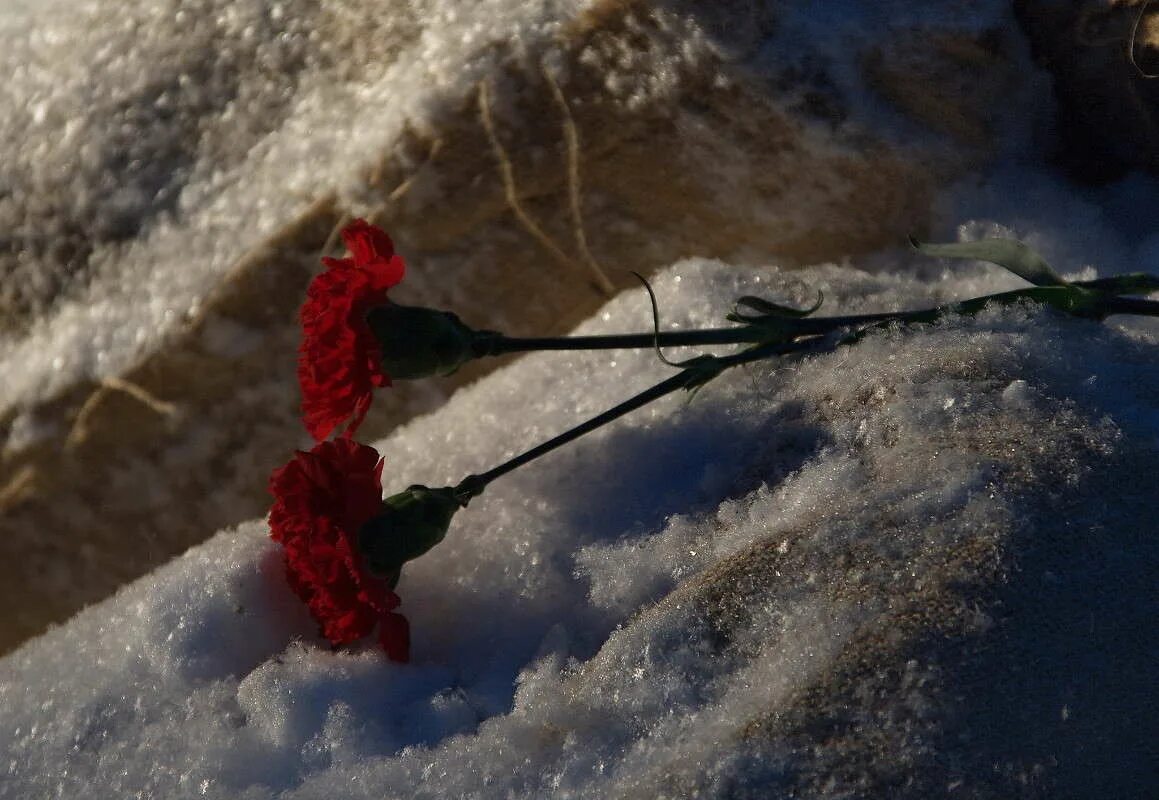 медаль ленинград мосты 75 мм. 70 летие снятия блокады ленинграда. медаль в честь снятия блокады. блокада ленинграда памятная медаль. медаль 70 лет снятия блокады ленинграда.